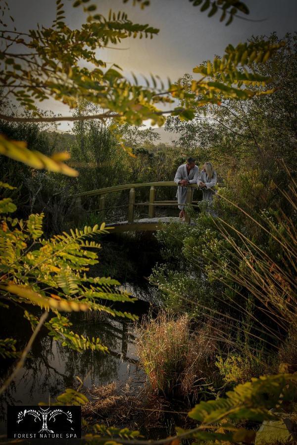 Forest Nature Spa The Crags Экстерьер фото
