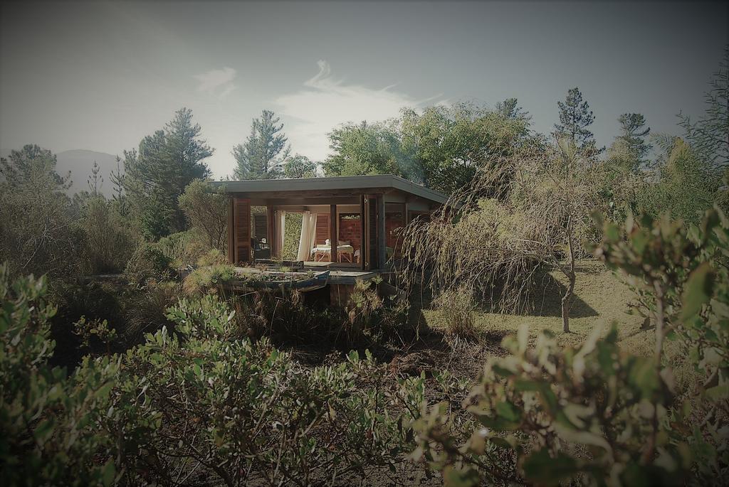 Forest Nature Spa The Crags Экстерьер фото